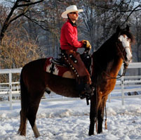 photo_verkaufspferde_large_1