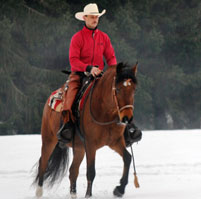 photo_verkaufspferde_large_1