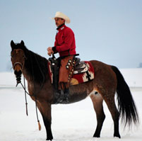 photo_verkaufspferde_large_1