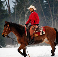 photo_verkaufspferde_large_1