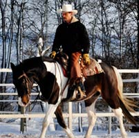 photo_verkaufspferde_large_1